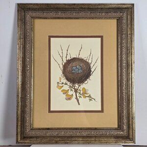 Vintage Bird Nest & Eggs Botanical Illustration Framed Art Print
